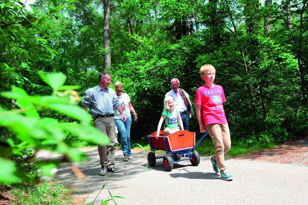 Natuurpark De Witte Bergen Hotel Rouveen Szoba fotó
